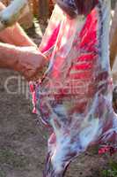 butcher cuts meat of a goat