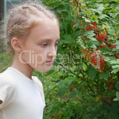 Cute girl near a currant bush