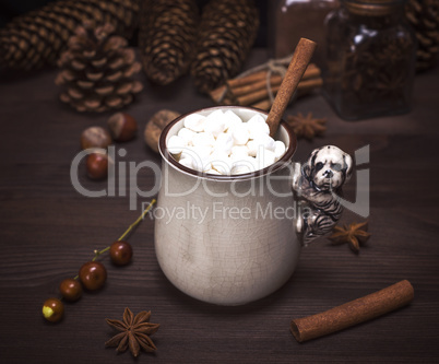 hot chocolate with white marshmallow