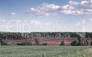 Summer landscape on a clear Sunny day.