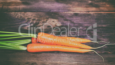 Three fresh orange carrots on a brown wooden table