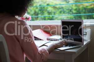 Woman using laptop at home