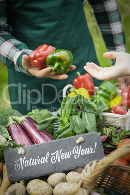 Composite image of natural new year