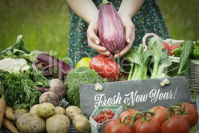 Composite image of fresh new year