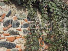 ancient brick wall with ivy background