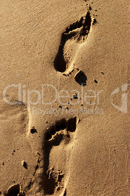 Footprints on sand beach.