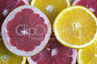 Sliced orange and grapefruit closeup.