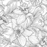 Floral seamless pattern. Flower black and white background. Flor