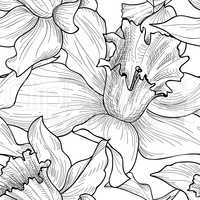 Floral seamless pattern. Flower doodle background. Florals engra