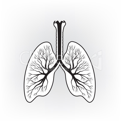 Lungs sign. Human internal organ anatomy icon