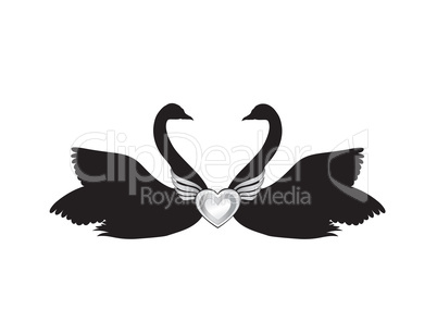 Birds in love. Couple of swans silhouette. Two love hearts conce