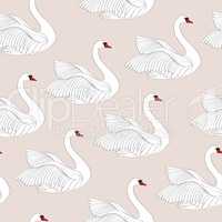 Seamless pattern with white swans. White bird ornamental tile ba