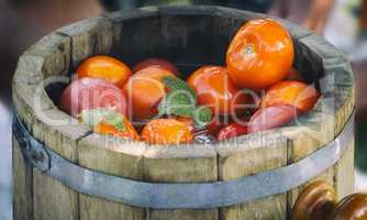 Pickled tomatoes in oak barrels.