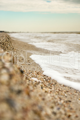 the coastline of seashells