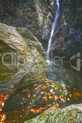 Beautiful veil waterfalls, mossy rocks, rotating leaves in mate