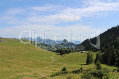 Salzburger Hochland im Sommer