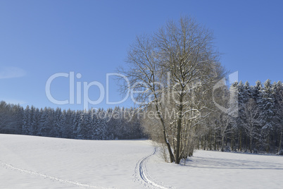 Winter in der Sächsischen Schweiz