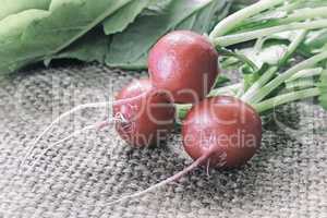 Young radishes with green leaves.