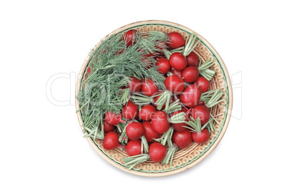 Radishes and dill on a plate on a white background.