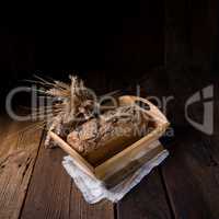 tasty homemade bread