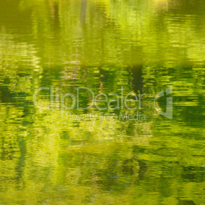 Natural outdoors bokeh background. Reflection of green plants in