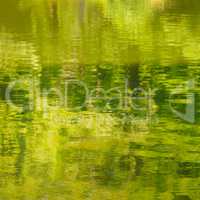 Natural outdoors bokeh background. Reflection of green plants in