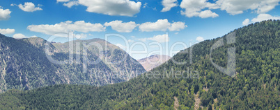 Forest slopes of the mountains in summer sunlight with a view of