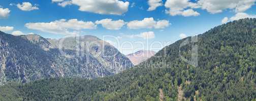 Forest slopes of the mountains in summer sunlight with a view of