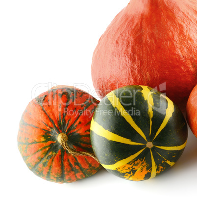 Ripe pumpkins isolated on white background.