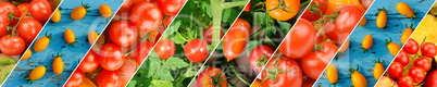 Colorful Tomatoes Background. Fresh Organic Tomato Texture. Wide