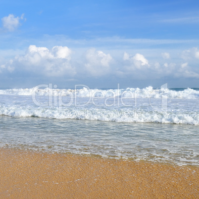 sandy beach and blue sky