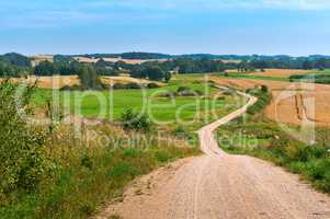 road in a field, a dirt road winding between the hills