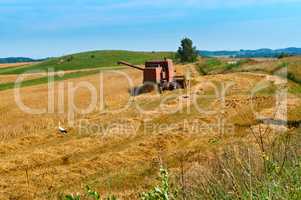 harvesting in the field, farm work, tractor working in the field