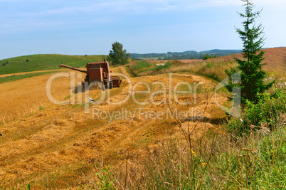 harvesting in the field, farm work, tractor working in the field