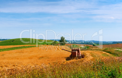 harvesting in the field, farm work, tractor working in the field