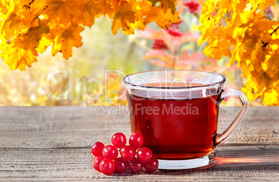 Cup of black tea with viburnum berries