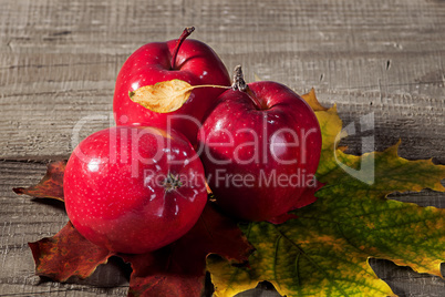 Red apples with maple leaves