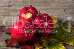 Red apples with maple leaves