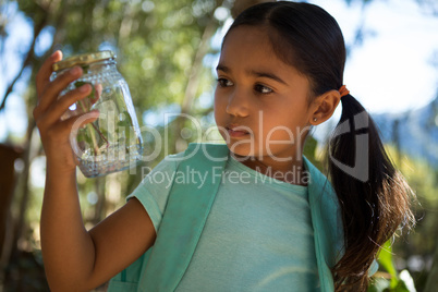 Little girl with backpack looking at jar with plant on a sunny day in the forest