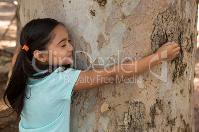 Happy little girl hugging tree trunk on a sunny day