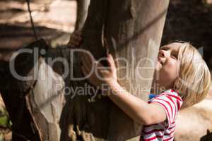 Happy little girl hugging tree trunk on a sunny day