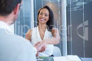 Female executive shaking hands with man