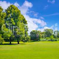 Park, green meadow and blue sky.