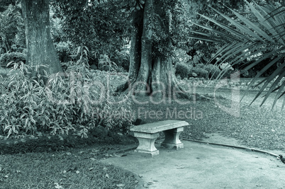 Bench. Photo in old vintage image style.