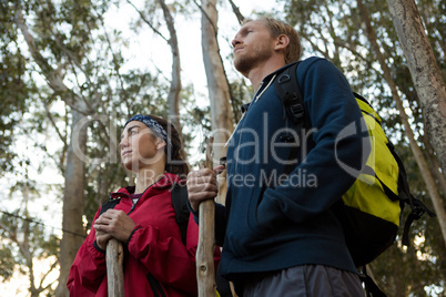 Hiker couple standing and watching the forest