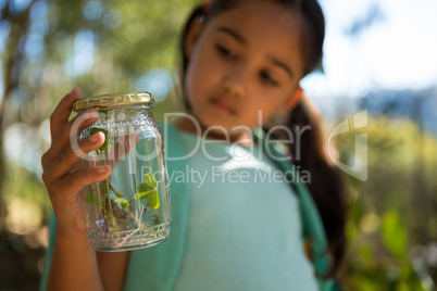 Little girl with backpack looking at jar with plant on a sunny day in the forest