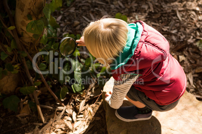 Little girl exploring the nature through a magnifying glass
