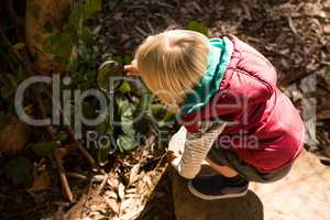 Little girl exploring the nature through a magnifying glass