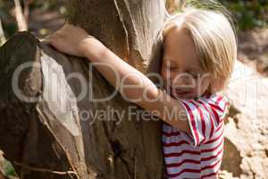 Happy little girl hugging tree trunk on a sunny day