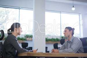 Female executive taking interview of man